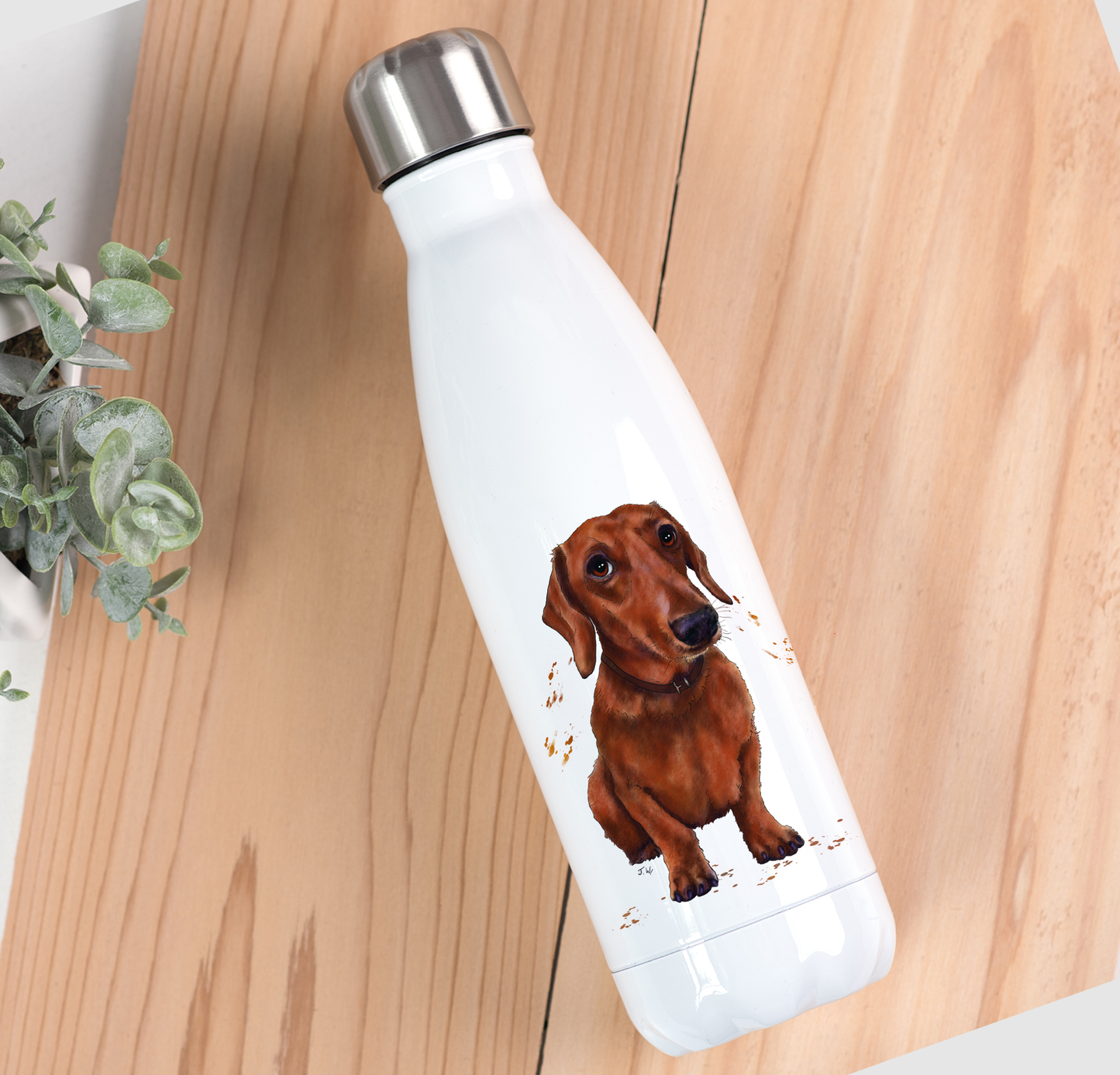 Dachshund Drinks Bottle