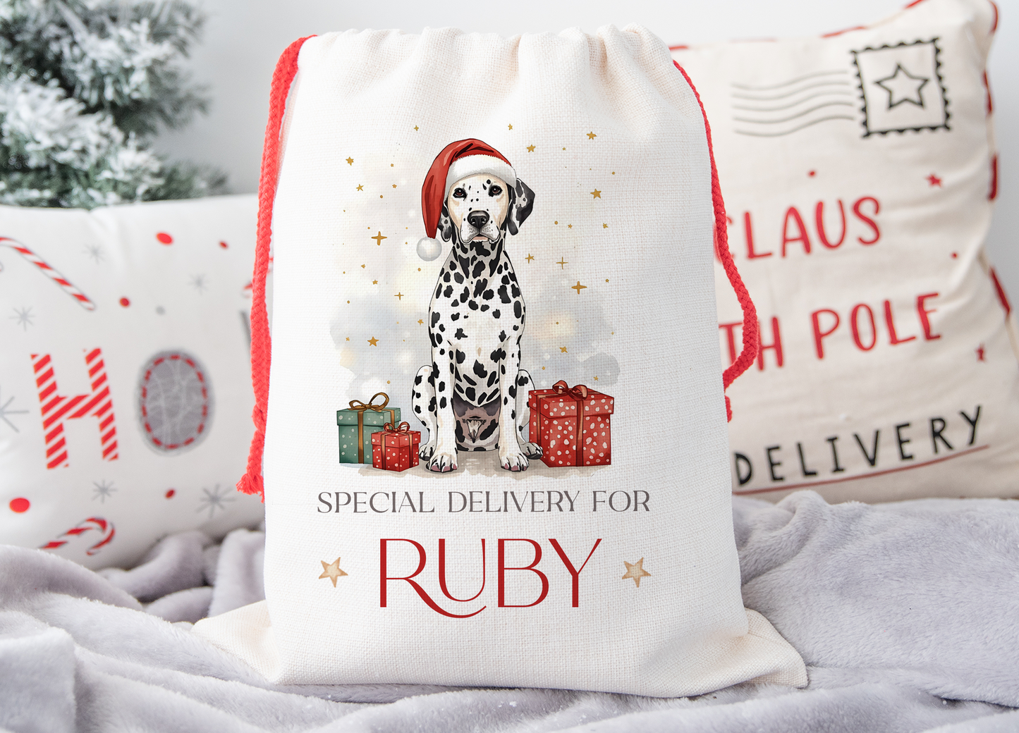 Dalmatian Christmas Sack