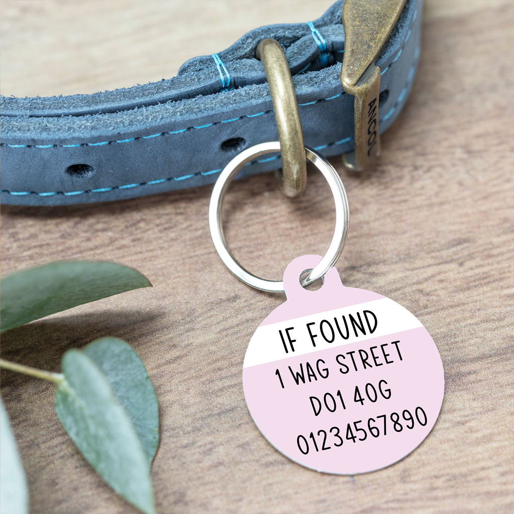Custom Dog ID Tag