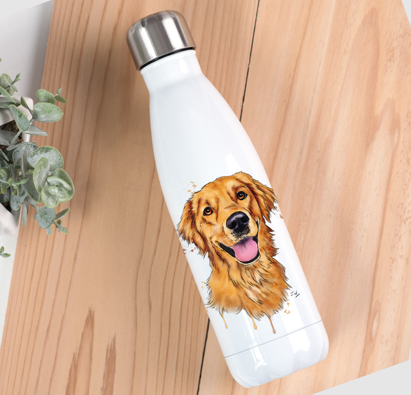 Golden Retriever Drinks Bottle