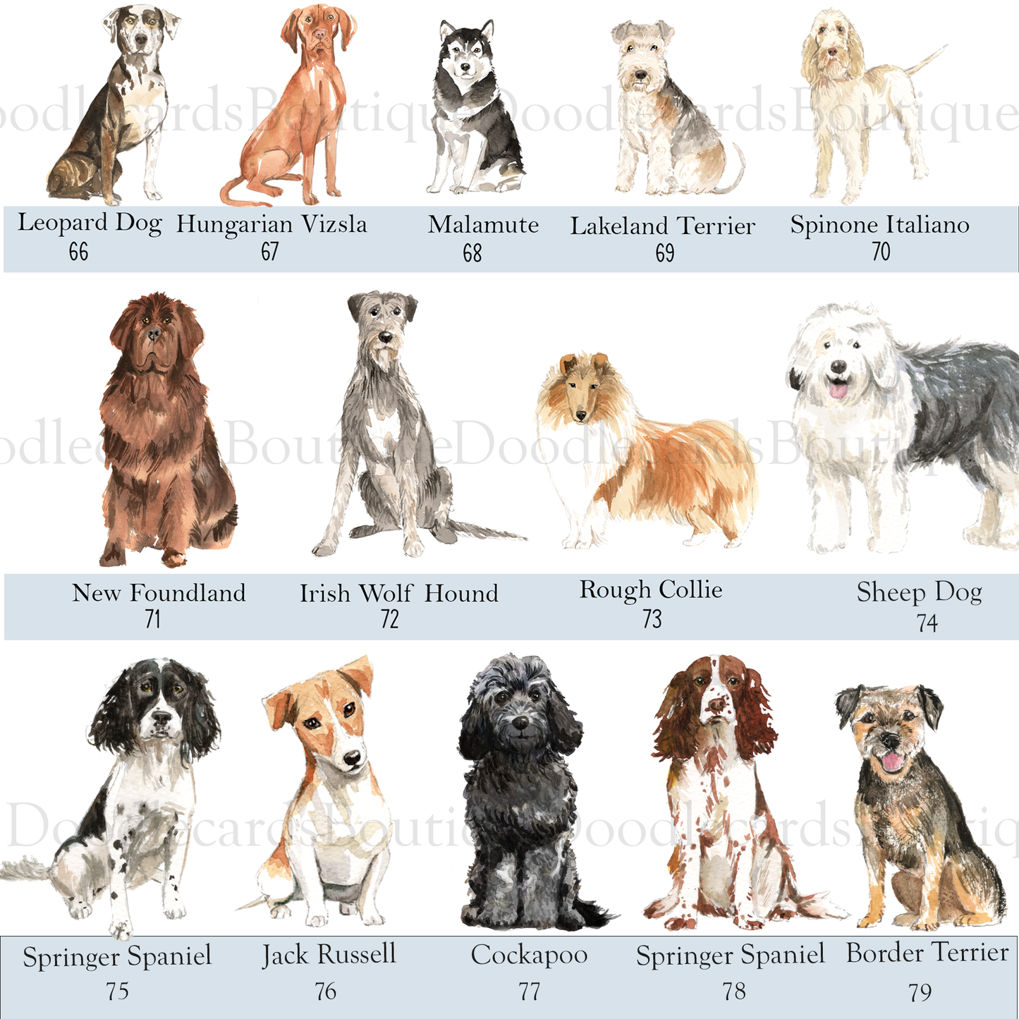 Custom Dog ID Tag