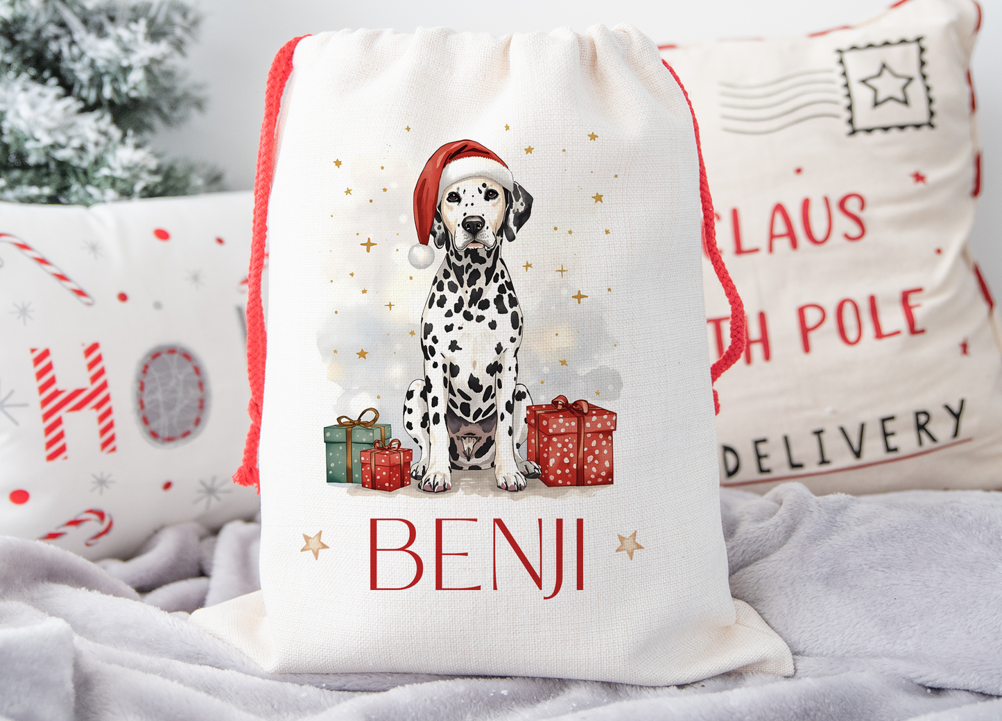 Dalmatian Christmas Sack