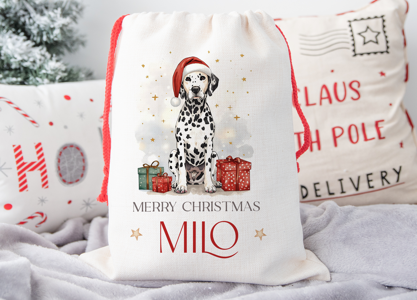 Dalmatian Christmas Sack