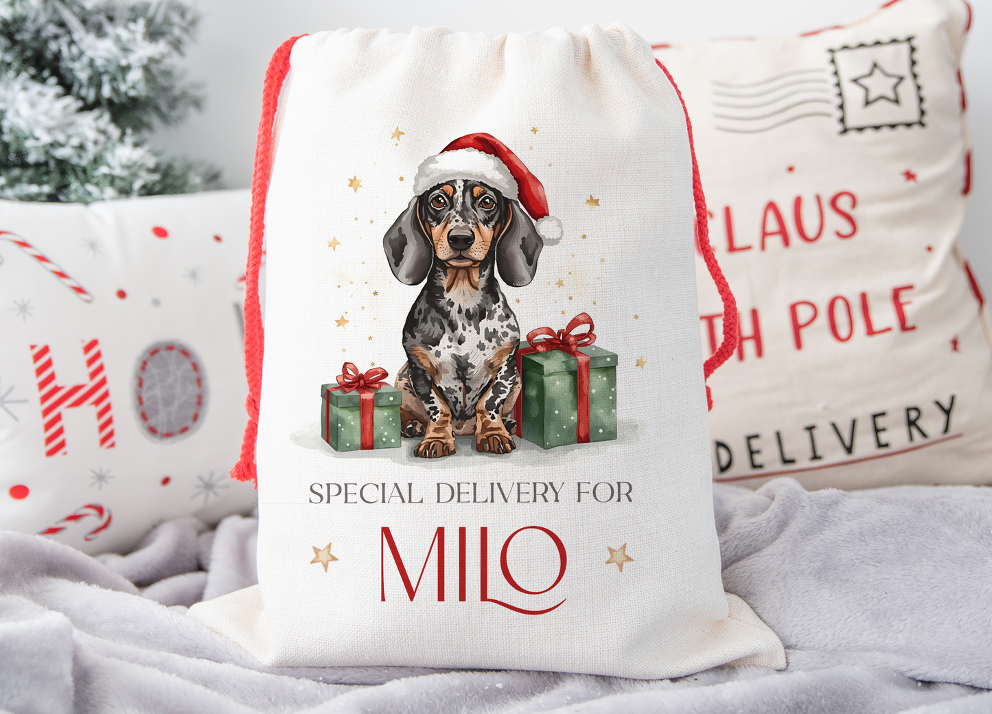 Dachshund Christmas Sack